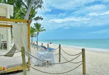 Impressive Premium Punta Cana - 47