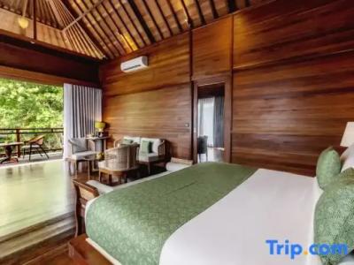 Novus Plaza Hodelpa - 66