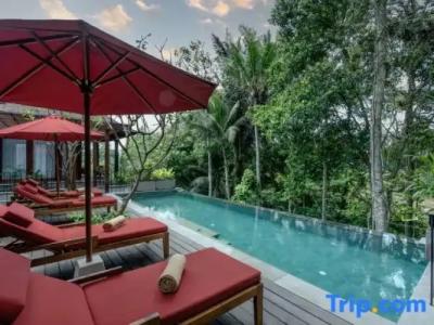 Novus Plaza Hodelpa - 78