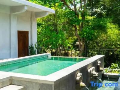 Novus Plaza Hodelpa - 90