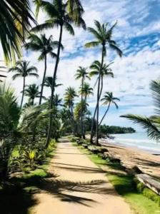 El Mosquito Boutique Playa Bonita - 24