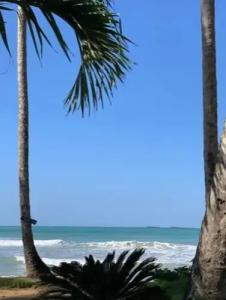 El Mosquito Boutique Playa Bonita - 34