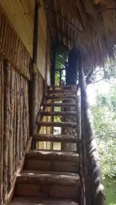 Cabarete Maravilla Eco Lodge Boutique Beach Surf & Kite - 129