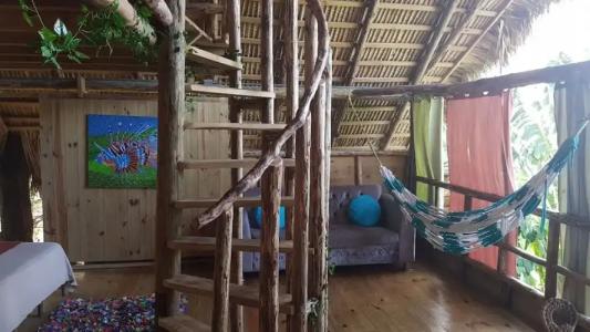 Cabarete Maravilla Eco Lodge Boutique Beach Surf & Kite - 67