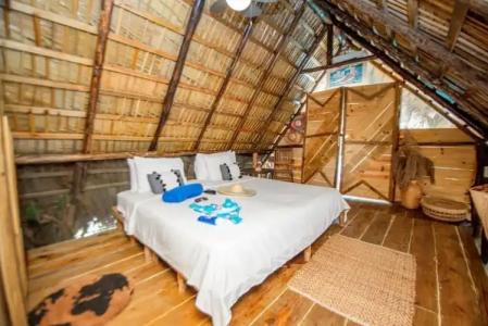 Cabarete Maravilla Eco Lodge Boutique Beach Surf & Kite - 75