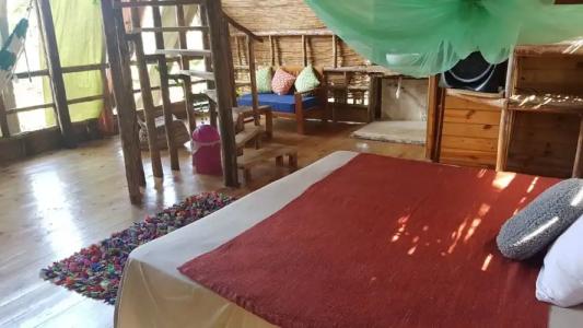 Cabarete Maravilla Eco Lodge Boutique Beach Surf & Kite - 62