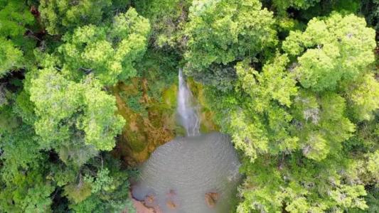 Paradiso del Caribe - 258