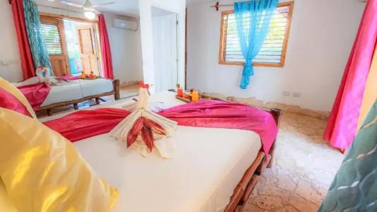 Paradiso del Caribe - 8