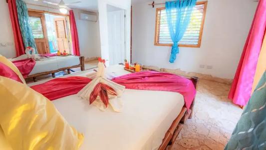 Paradiso del Caribe - 195