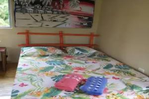 YES PAPA! Rooms at 100m from the beach!, Las Galeras