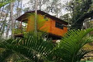 Casa de Arbol, Rancho Tierra Alta, Jarabacoa