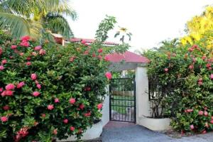 Sweet Home Punta Cana Guest House - VILLA Q15A, Punta Cana