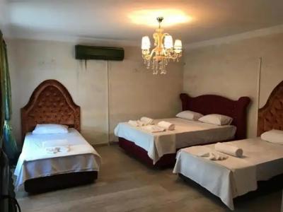 Narlı Ev Butik Otel - 43