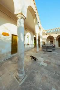 Narlı Ev Butik Otel - 13