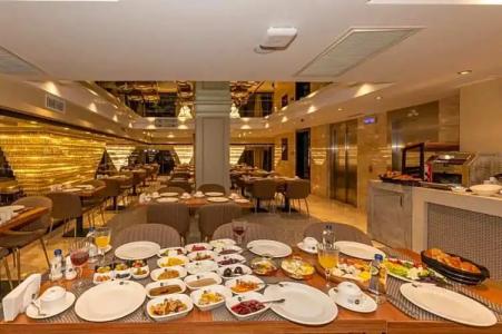 The Conforium Van - 14