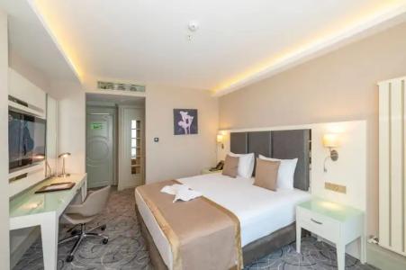 The Conforium Van - 49