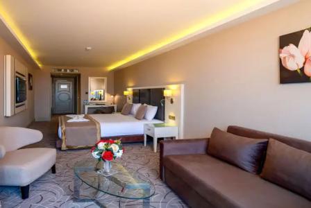 The Conforium Van - 50