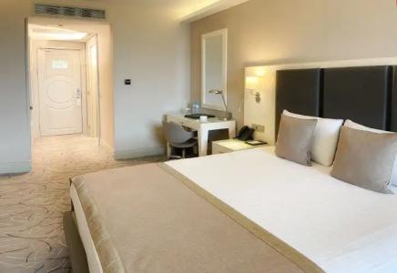 The Conforium Van - 40