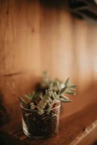 Büyükada Loc'ada - 139