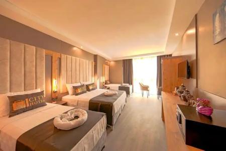 Istanbul Airport Express - 85