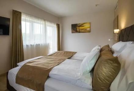 Kistücsök Food & Room - 34