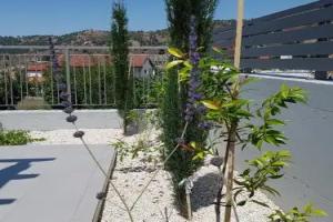 Evmelia Suites, Kakopetria