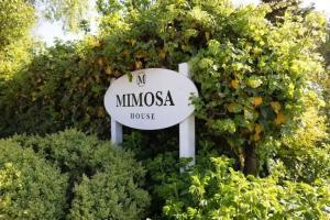 Mimosa House, Westerland