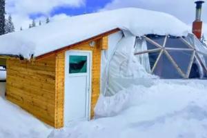 Igloo in the Woods - new, warm and inspiring, Pamporovo