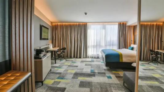 Holiday Inn - Villingen - Schwenningen, an IHG - 123