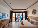 Deluxe Double room with balcony and with pool view
