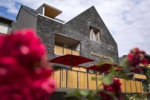 Rieslingquartier - Mosel Wein Hotel, Krov