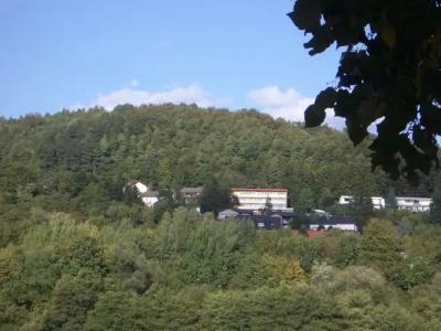 Wohlfühl"Waldcafé Jäger" - 19