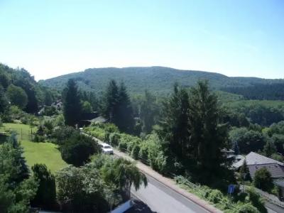 Wohlfühl"Waldcafé Jäger" - 21