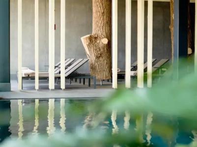 Natur& Chalets Euler - 9