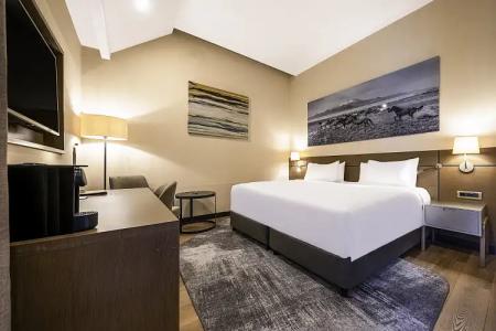 Radisson Blu, Mount Erciyes - 17