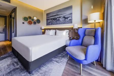 Radisson Blu, Mount Erciyes - 15