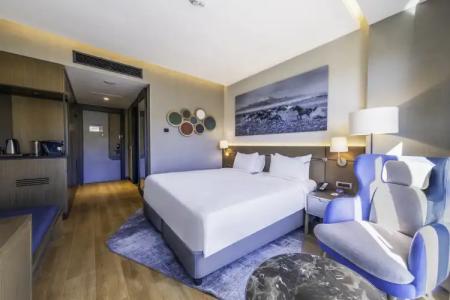 Radisson Blu, Mount Erciyes - 20