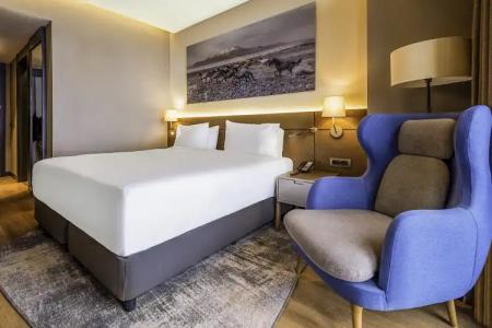 Radisson Blu, Mount Erciyes - 11