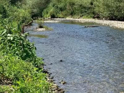 RheinVilla ARTE - 14