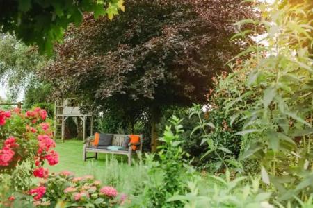 JustStay Grevenbroich & Apartments - 23