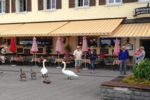 Alte Post Meersburg, Meersburg