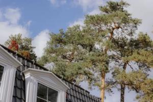 Seepalais Boutique Hotel, Bad Saarow