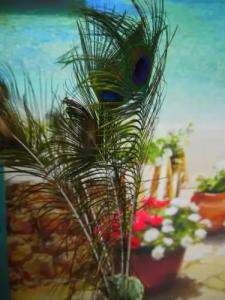 Maravillas del Mundo - 19