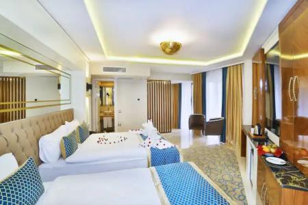 Beethoven Premium - 65