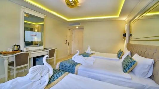 Beethoven Premium - 33