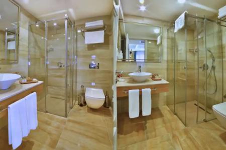 Beethoven Premium - 55