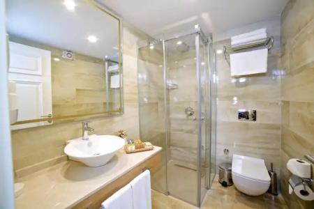 Beethoven Premium - 61