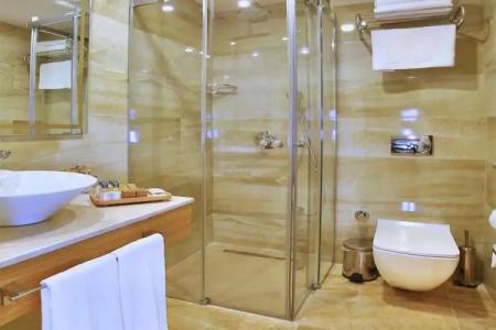 Beethoven Premium - 12