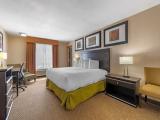 1 Bedroom Suite