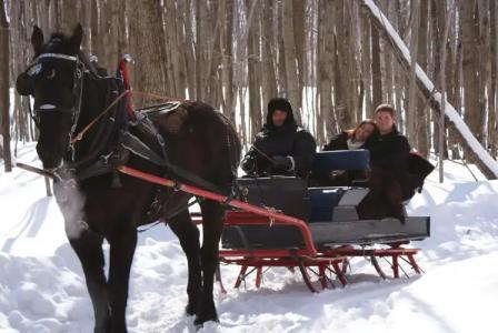Hampton Inn & Suites by Hilton Barrie - 23